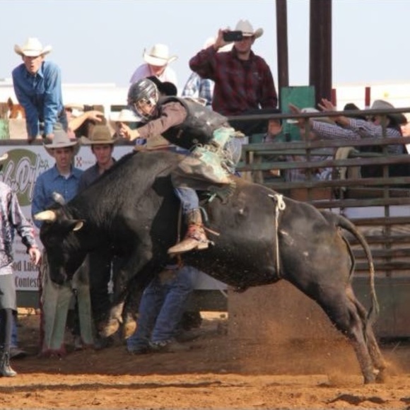 Meet your Posher, Candice - Picture 3 of 5